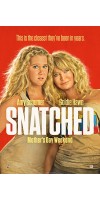 Snatched (2017 - English)